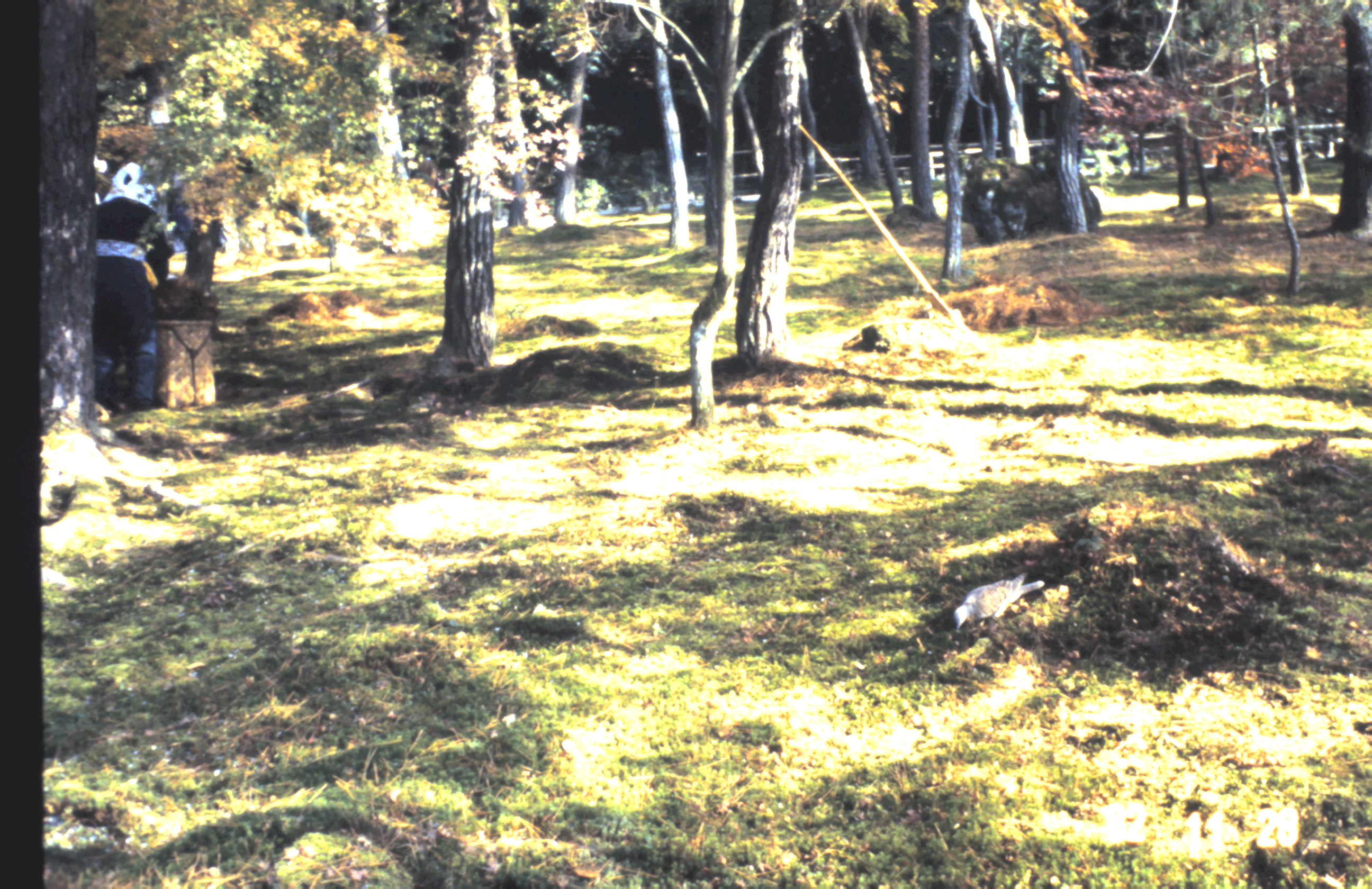 1982 - Kioto Japão_036.JPG