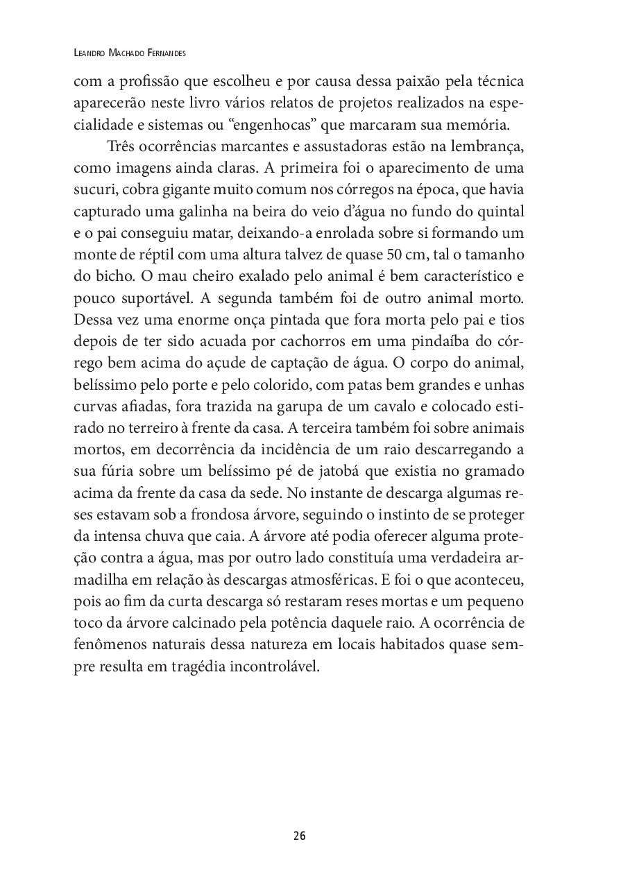 LeandroPage026.png