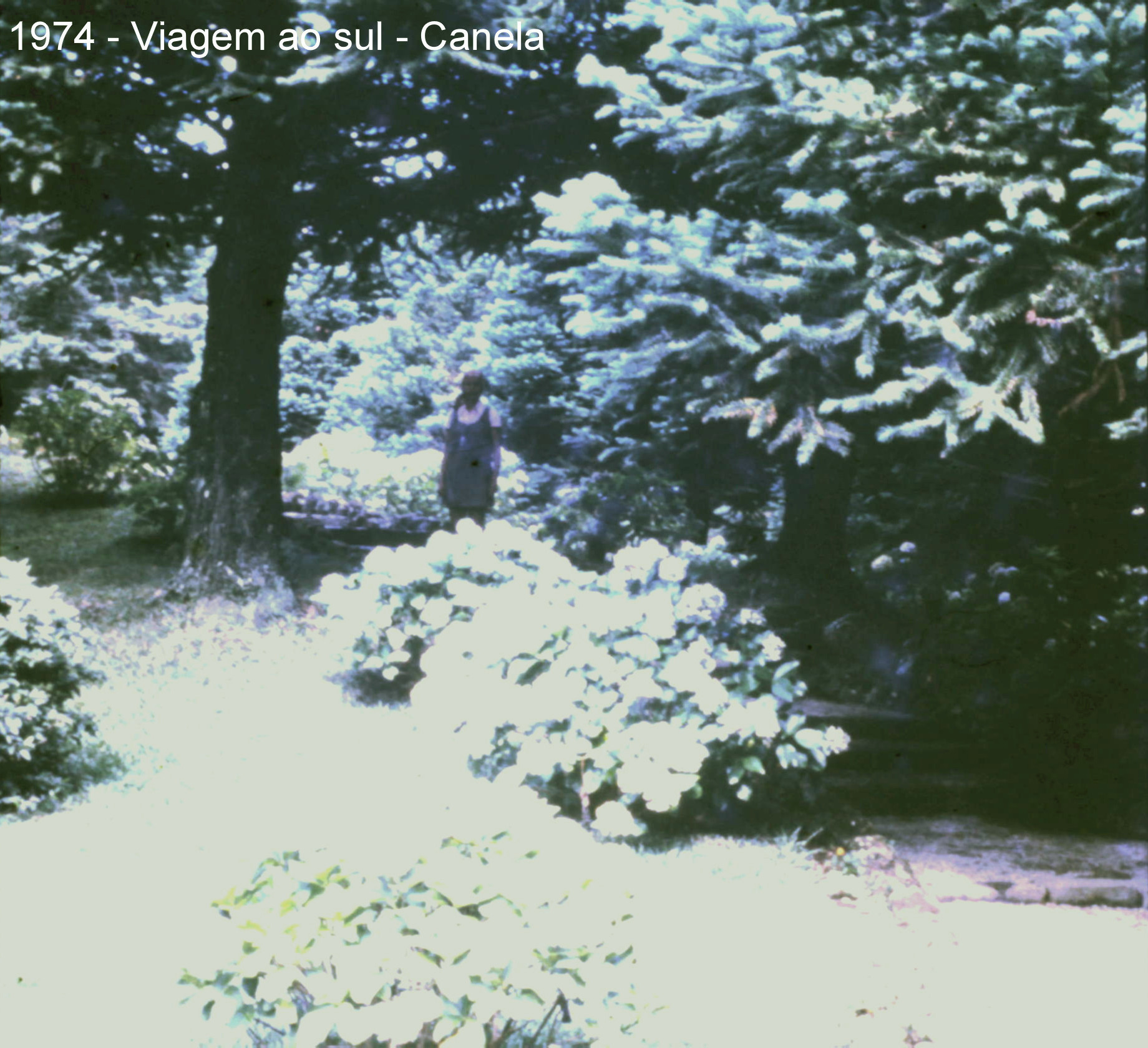 1974 - Viagem ao sul_124.JPG