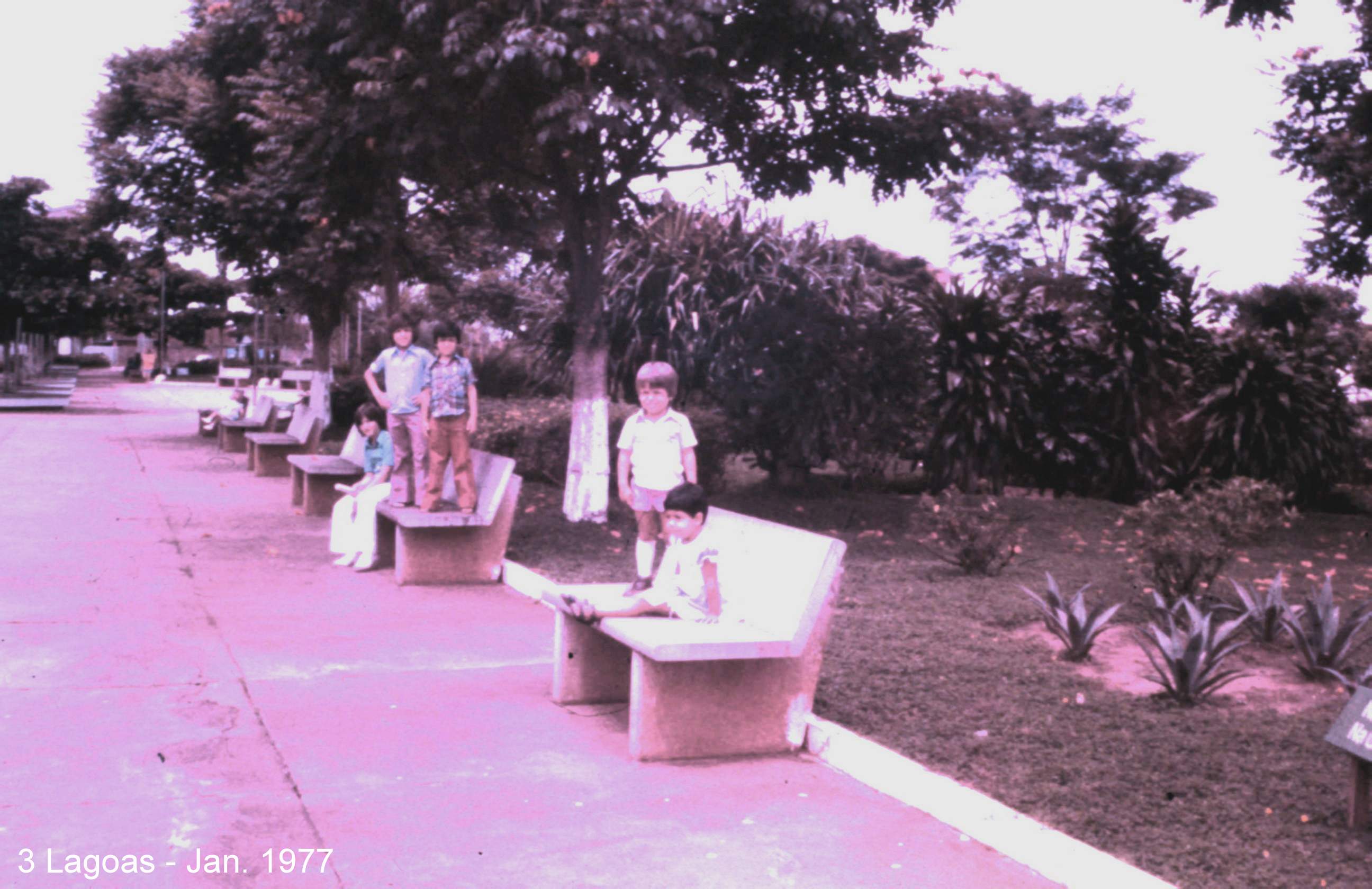 1977 - Jan - T. Lagoas_008.JPG