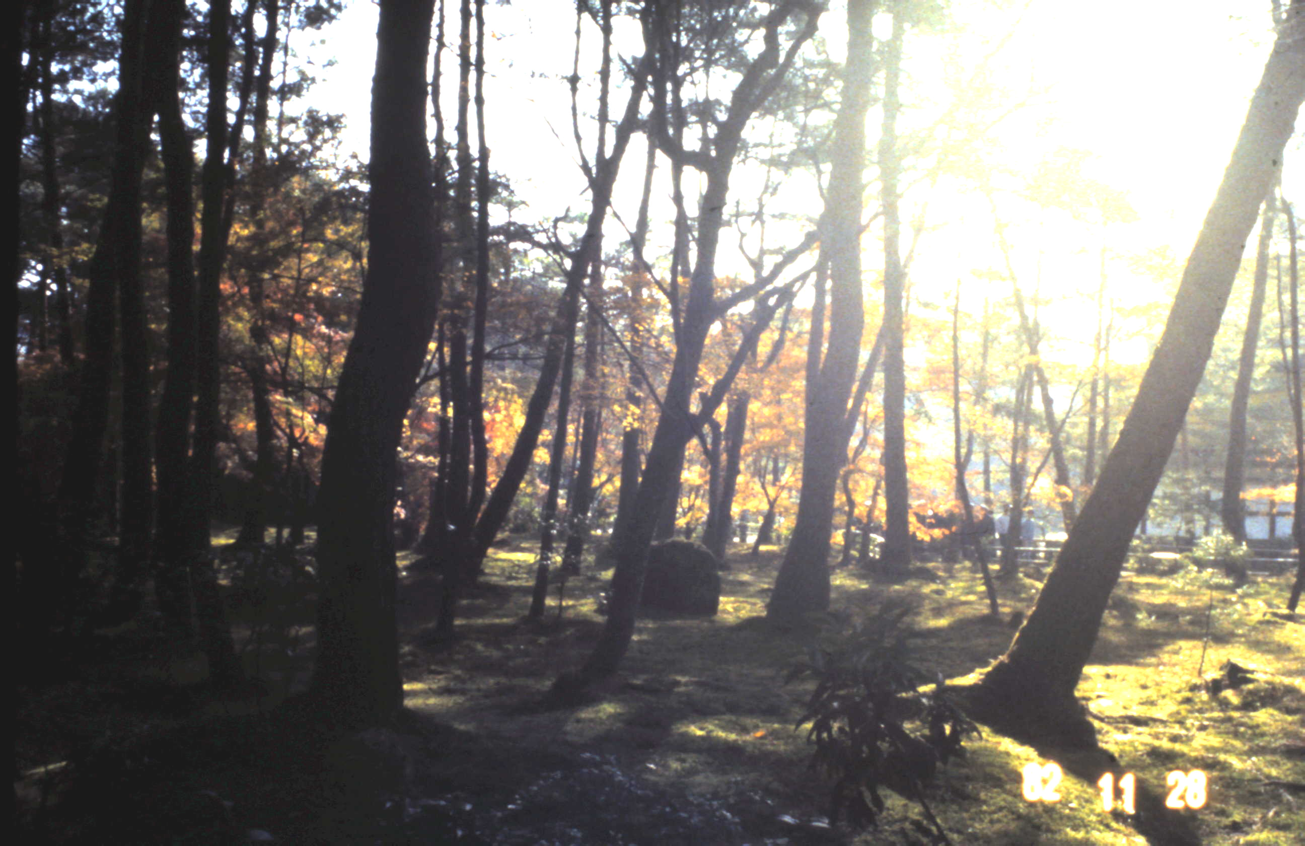 1982 - Kioto Japão_034.JPG