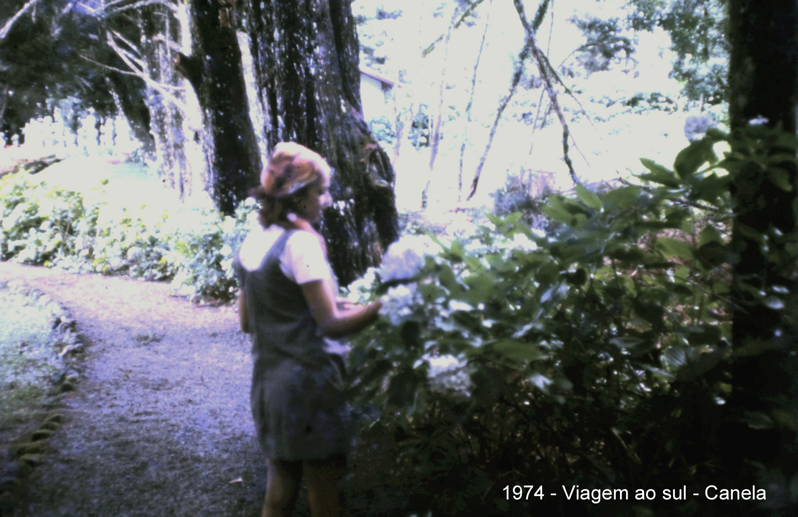 1974 - Viagem ao sul_134.JPG