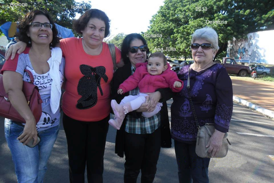 Família Demézia - 2013.jpg